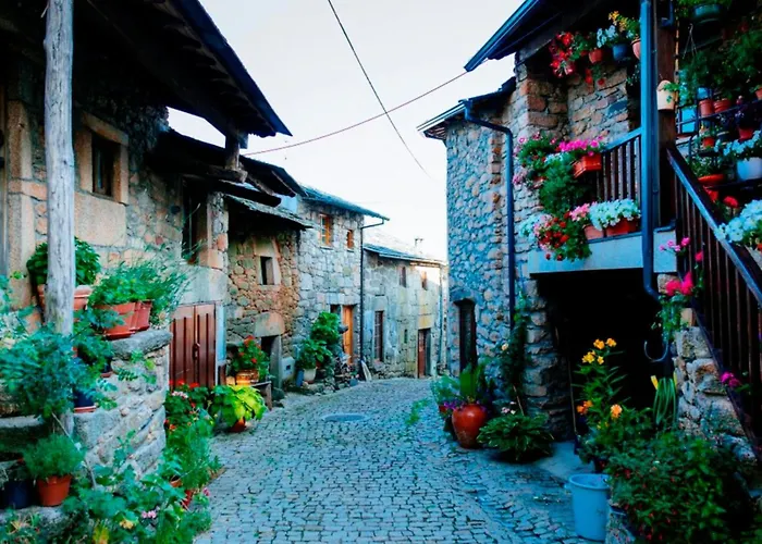 Achego Transmontano